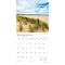 Chesapeake Bay | 2026 12 x 24 Inch (Hanging) Monthly Square Wall Calendar | Plastic-Free